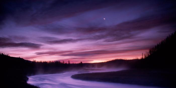 1920x1080 Hd Nature Wallpaper, Download Wallpaper, Plant, Best - Word Of God