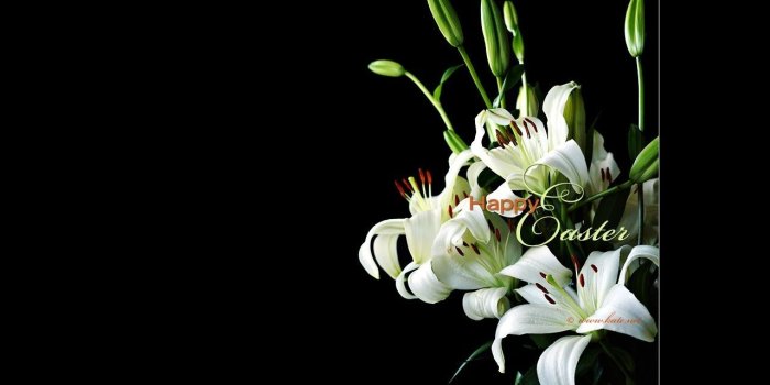 1280x800 10 New Free Christian Easter Wallpaper FULL HD 1080p For PC