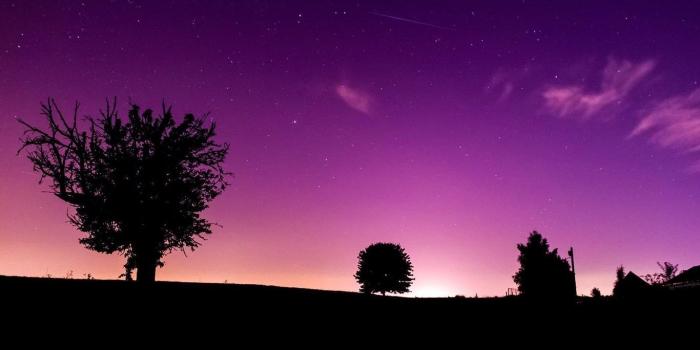 1366x768 Top Purple Nature Hd Images For Pinterest Desktop Background