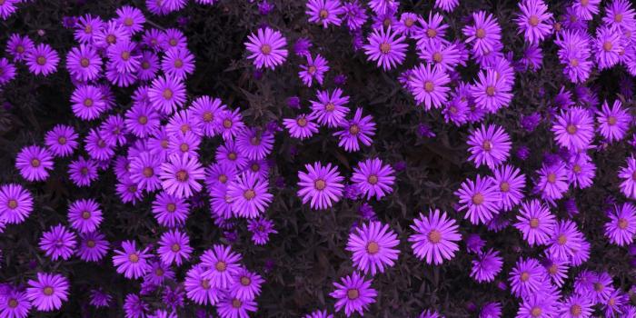 1920x1080 960x540 wallpapers Page 1826: Gorgeous Autumn View Scenic High