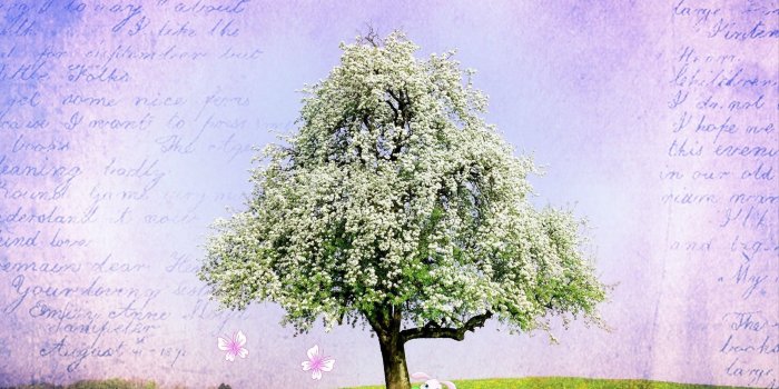 2304x1728 Free Christian Easter Wallpaper - Easter Wallpapers and Backgrounds