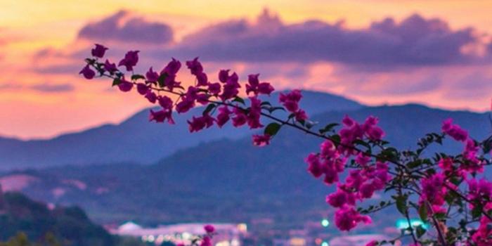 1080x1920 Spring Nature Wallpaper For iPhone | 2019 3D iPhone Wallpaper