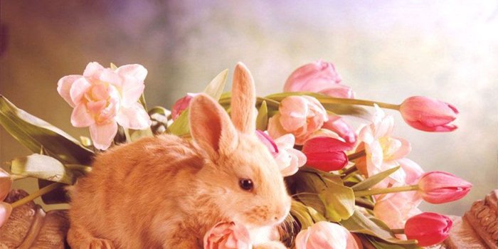 1024x768 Easter Desktop Wallpapers - Top Free Easter Desktop Backgrounds