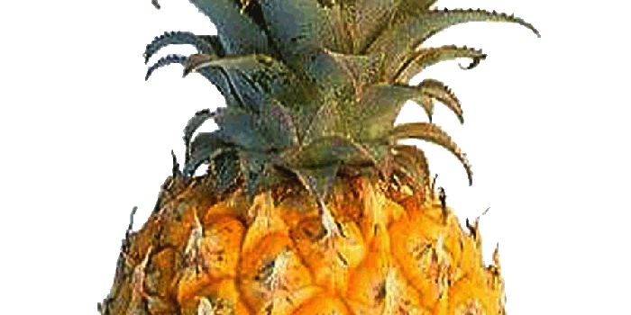 900x1691 Colors images Yellow Pineapple HD wallpaper and background photos