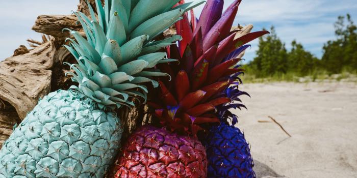 3840x2560 3079684 beach, colorful, colourful, creative, food, fruits, outdoors