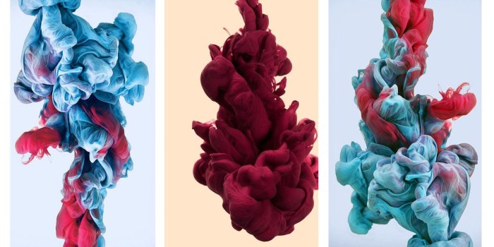 2000x1080 Pristine Flower wallpapers (70 Wallpapers) – Wallpapers 4k