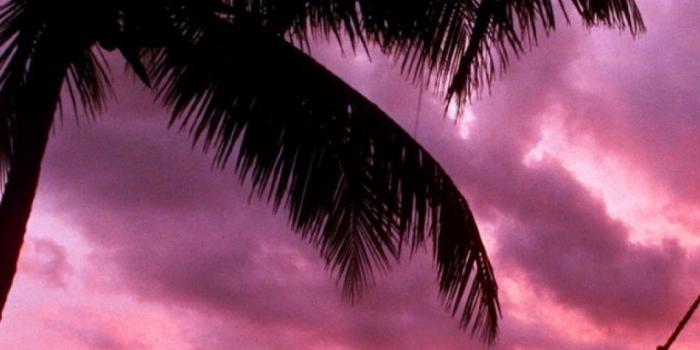 1080x1920 1080x1920 Sunset Beach Hammock Chillout Galaxy s4 wallpaper