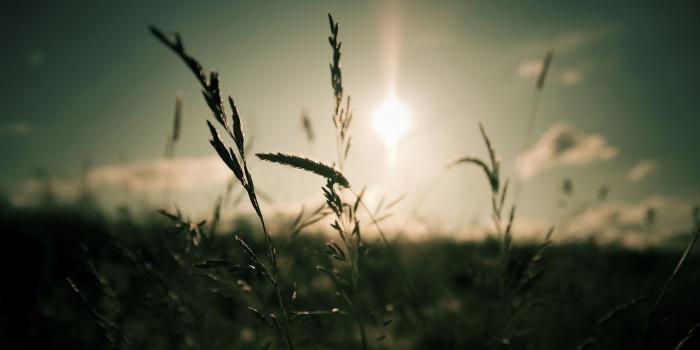 1920x1200 Beautiful Focus Wallpaper #6775061