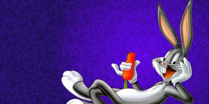 1024x768 Looney Tunes Wallpapers