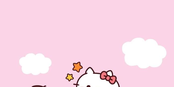 1200x2133 75+ Sanrio Characters Wallpapers on WallpaperPlay