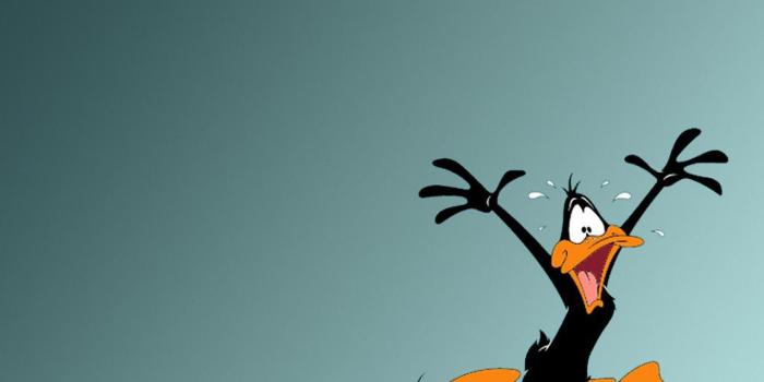 2560x1920 Looney Tunes Wallpapers 2560x1920, #276XJ61 - 4USkY