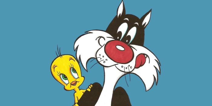 1920x1200 Desktop Hd Wallpaper Looney Tunes Tweety And Sylvester Cat Cartoons