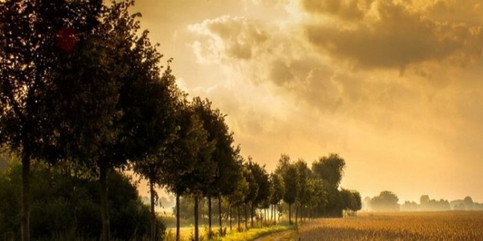 750x1334 60 Beautiful Nature iPhone Wallpapers – Available Ideas