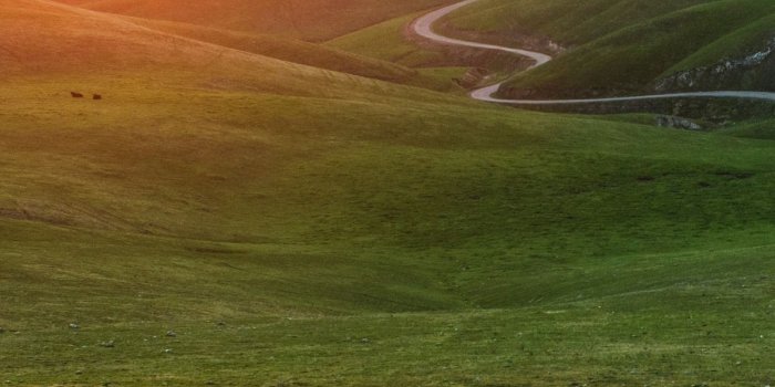 1242x2688 Mountains, road, grass, sunrise, nature landscape 1242x2688 iPhone