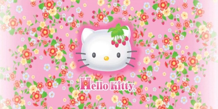 1024x1021 49+] Hello Kitty iPad Wallpaper on WallpaperSafari