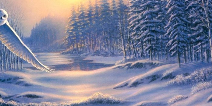 1080x1920 Winter Landscape Painting Scenery iPhone 6 Plus HD Wallpaper HD