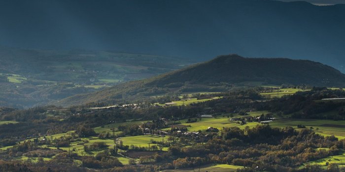 1242x2208 iPhone7papers.com | iPhone7 wallpaper | nj31-landscape-green-nature