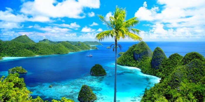 1500x933 Plants, Fresh, Iphone Desktop Images, HD Landscape Wallpapers