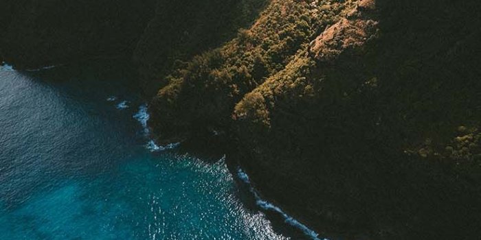 736x1308 The Perfect Set Of Wallpapers For Your New iPhone XR | Preppy Wallpapers