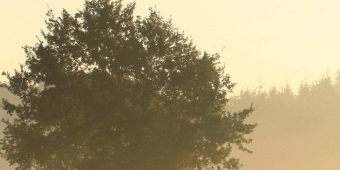 750x1334 35+ Countryside iPhone Wallpapers - Download at WallpaperBro