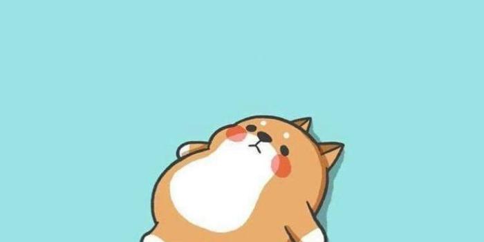 736x1309 40+ Cute Cartoon Dog Wallpapers - Download at WallpaperBro