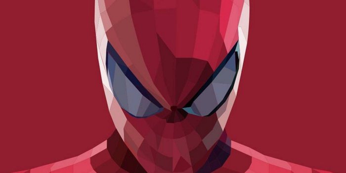 1440x3040 Superhero Spiderman Cartoon Wallpaper - [1440x3040]