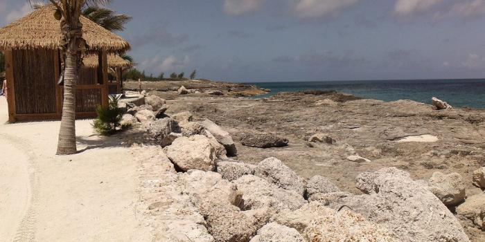 1024x768 Coco Cay, Bahamas: Shoreline of Island Oasis Cabana Club