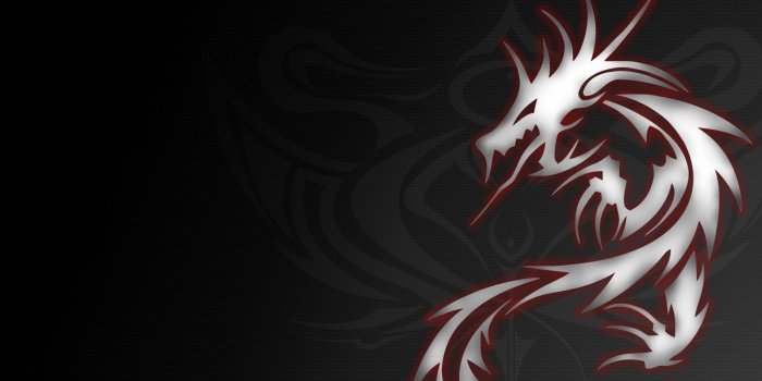 2560x1600 Dragon Sword Wallpapers Hd ~ Festival Wallpaper