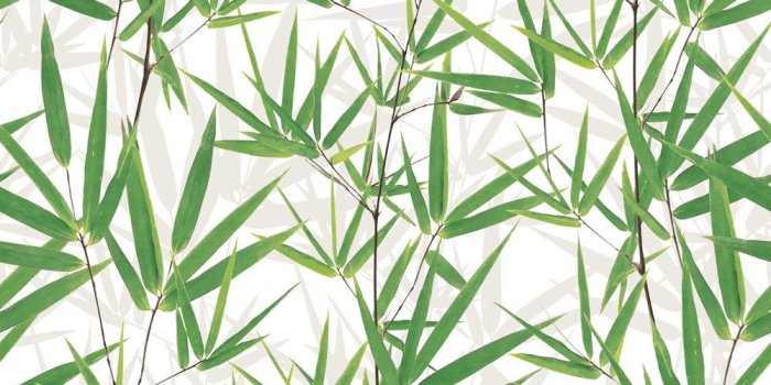 1000x1000 Muriva Ltd J67504 12 Rolls Just Like It Leaves Wallpaper, Green, Medium,  Set of 12 Pieces