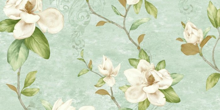 1500x1500 Charlotte Magnolia Trail 33' L x 20.5