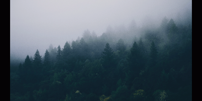 1600x900 Fetch images from reddit for your desktop wallpaper, python beginners.