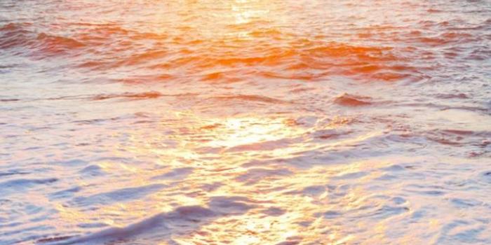 720x1280 Golden Beach Sunrise Wallpaper by IndigoLaEnd - 77 - Free on ZEDGE™