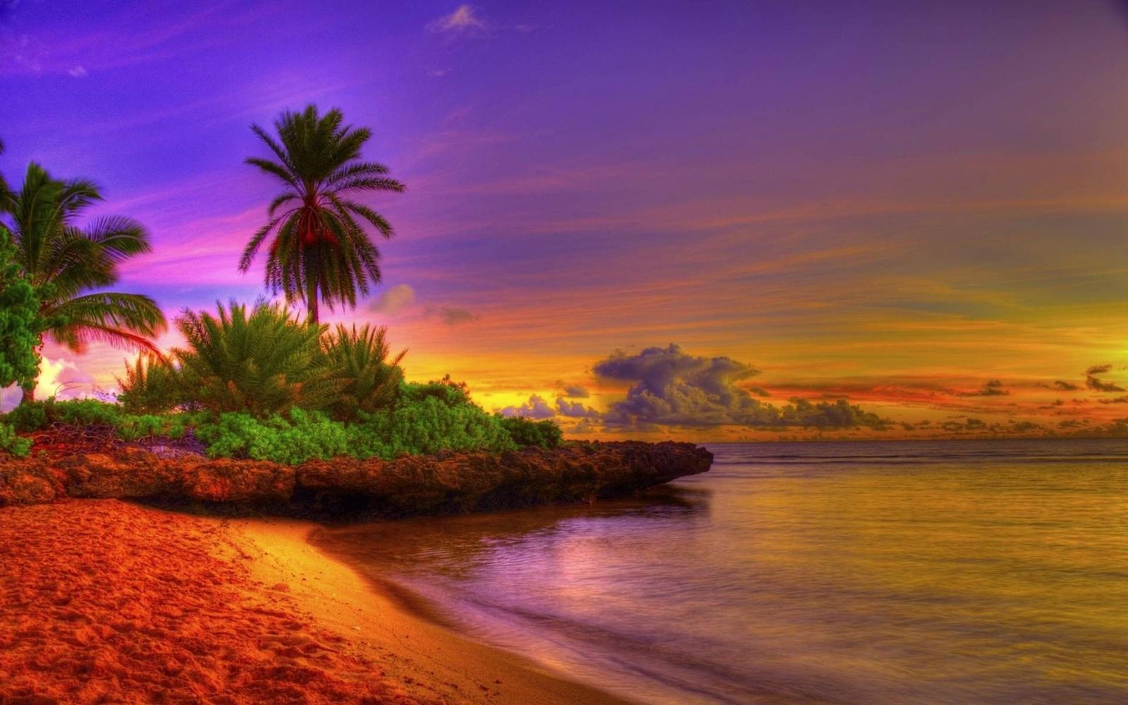 1920x1200 Colorful Sunrise Tropical Beach Image - Beautiful Beach Sunset
