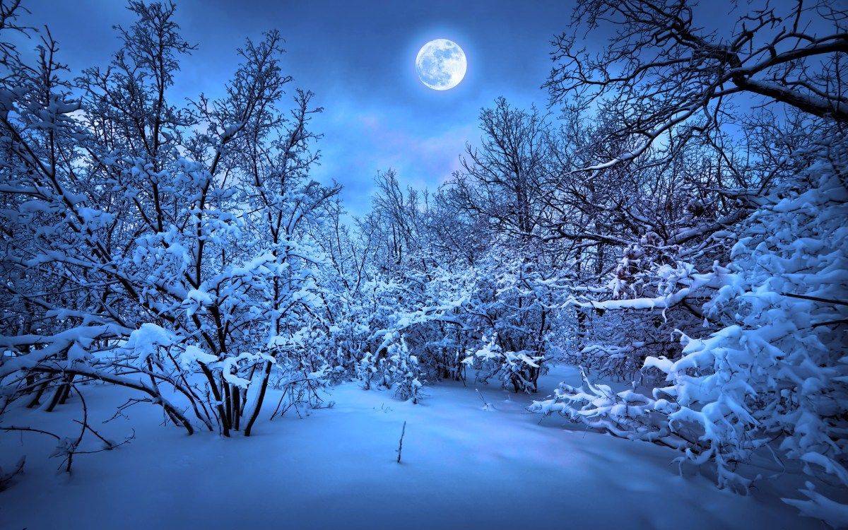 1200x750 Winter Moon Wallpapers - Top Free Winter Moon Backgrounds