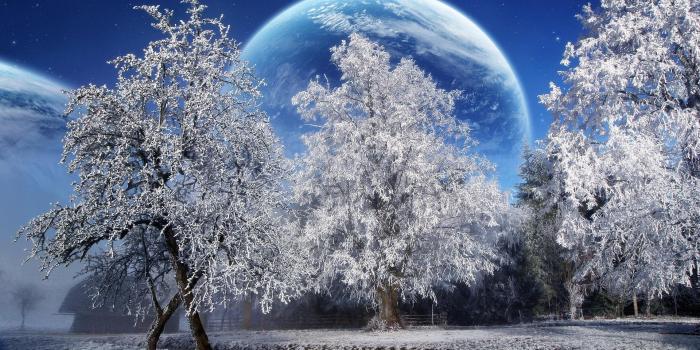 1920x1200 A Beautiful Winter With A Big Moon HD desktop wallpaper : Widescreen