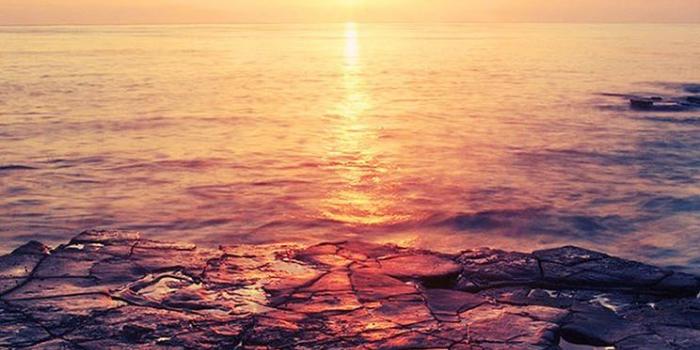 744x1392 Beach Sunrise - The iPhone Wallpapers