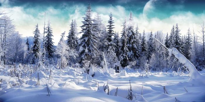 1920x1200 2824078 winter moon trees snow mountain nature wallpaper and