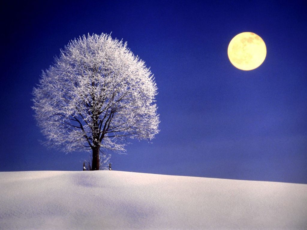1024x768 Winter-Night-with-Full-Moon-1024x768-wide-wallpapers.net