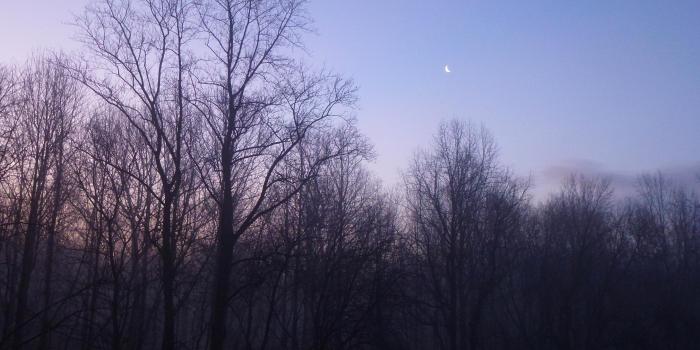 2881x2160 MLeWallpapers.com - Winter Moon