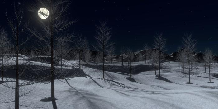 1920x1080 Winter moon | rec max | 1227.0 kb, v.9.7