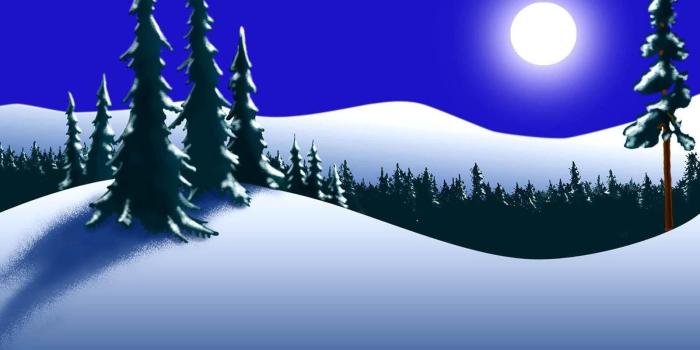 1600x1100 3361218 Trees, Forest, Winter, Moon, Night wallpaper and background