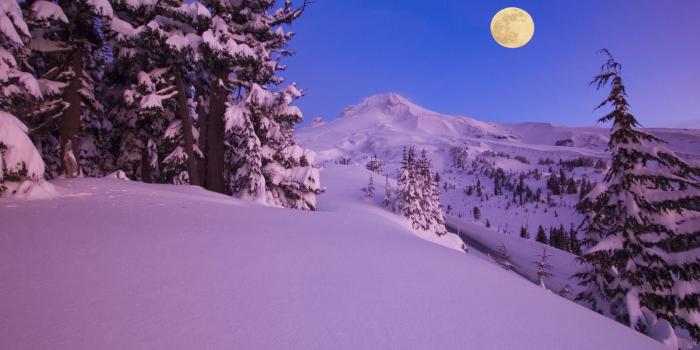 2000x1333 Winter: Winter Moon Beauty Snow Moonlight Cold Nature Trees