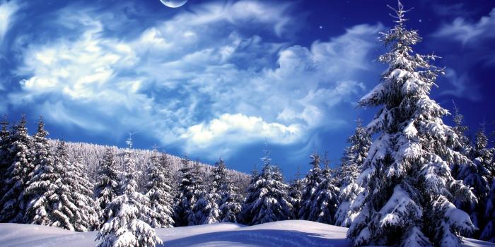 1920x1080 Winter: Tree Winter Moon Nature Forest Wallpaper Quotes for HD 16:9