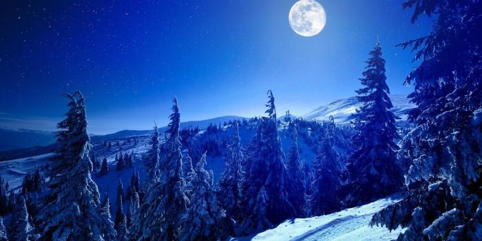 1920x1080 Full Moon over Winter Forest HD Wallpaper | Background Image