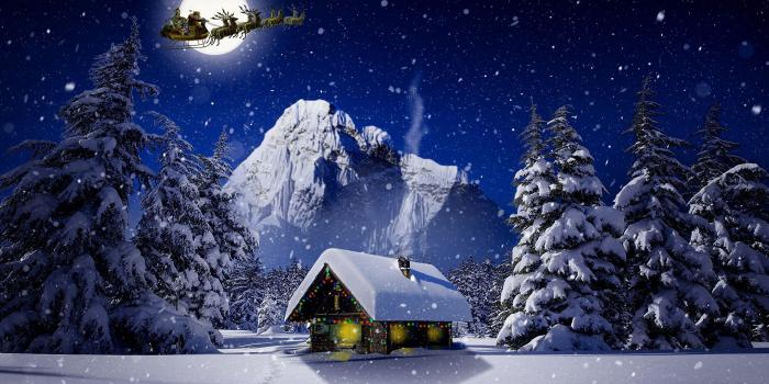 2560x1440 Images Deer Christmas sleigh Nature Winter Moon Snow night 2560x1440