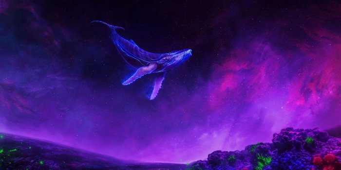 3840x2160 Wallpaper of Purple, Sky, Whale, Animal, Smoke background & HD image