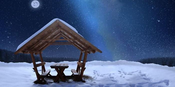 1920x1080 Garden Nature Winter Moon Snow Enjoy Wallpaper ~ Winter for HD 16:9