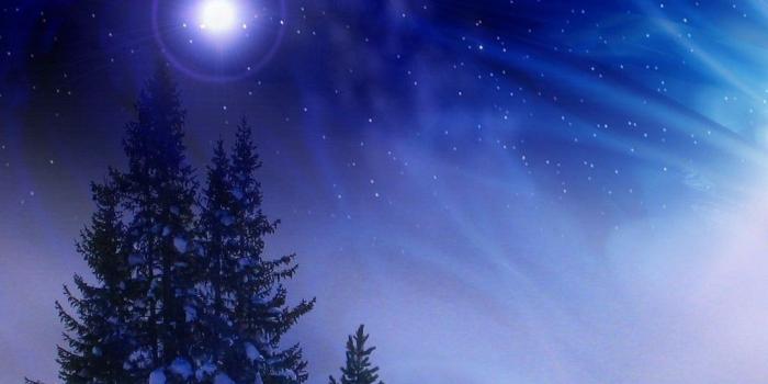 1024x768 Winter: Moon Snow Sky Shining Trees Winter Picture Wallpaper HD 16:9