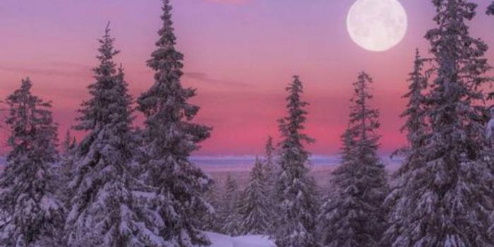 938x1280 Winter Moon Wallpaper by Mims1992 - 83 - Free on ZEDGE™