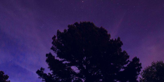 2732x2732 nj68-one-star-shine-night-dark-blue-sky-wood-purple-wallpaper